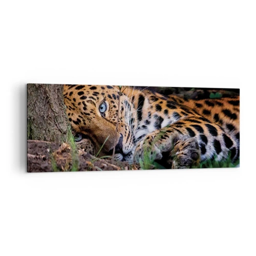 Cuadro sobre lienzo - Impresión de Imagen - Un leopardo tumbado a la sombra de los árboles. - 140x50cm - Confía en mí - Decoración de pared moderna para salón y dormitorio ARTTOR