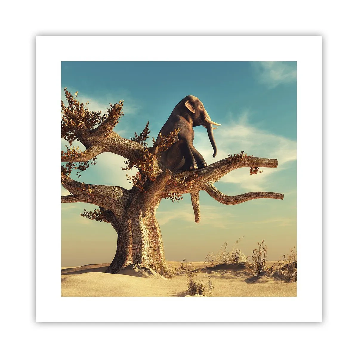 Póster - Un nuevo punto de vista - 40x40 cm