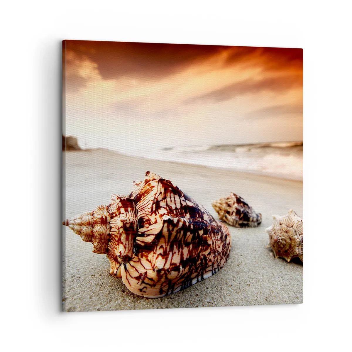 Cuadro sobre lienzo - Impresión de Imagen - Los exiliados de las olas - 50x50 cm