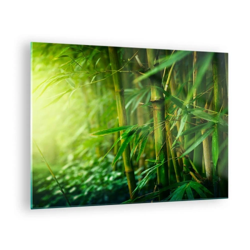 Cuadro sobre vidrio - Impresiones sobre Vidrio - Bosque de bambú verde bajo el sol - 70x50cm - Conocer el propio verdor - Decoración de pared moderna para salón y dormitorio ARTTOR