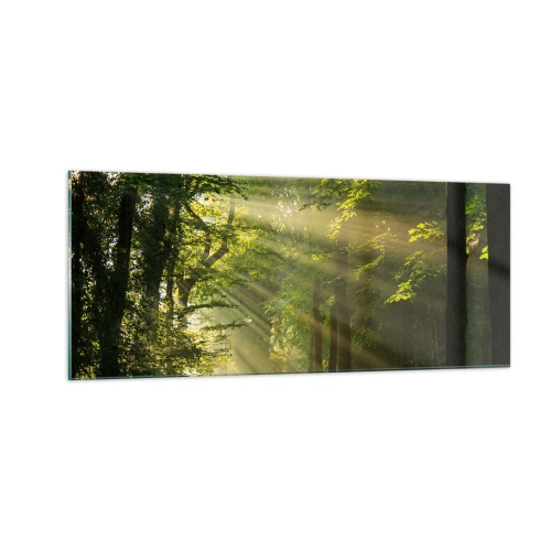 Cuadro sobre vidrio - Impresiones sobre Vidrio - Un momento en el bosque - 100x40 cm