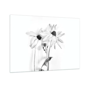 Cuadro sobre vidrio - Impresiones sobre Vidrio - Flores en blanco y negro en estilo minimalista. - 100x70cm - Nadie quiere estar solo - Decoración de pared moderna para salón y dormitorio ARTTOR