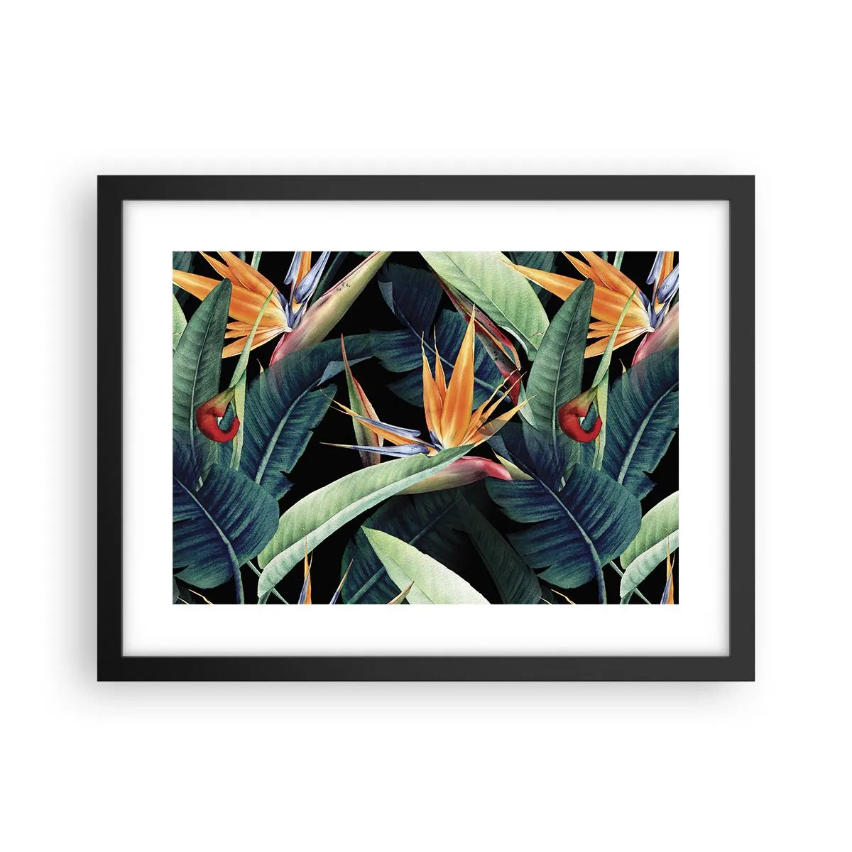 Póster en marco negro - Flores de llamas de los trópicos - 40x30 cm