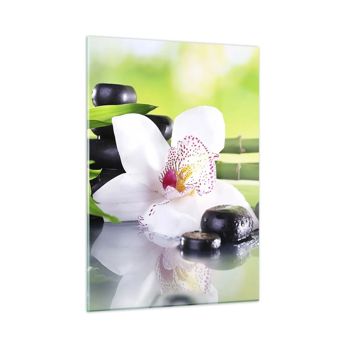 Cuadro sobre vidrio - Impresiones sobre Vidrio - Orquídea, bambú y piedras negras sobre un fondo verde. - 50x70cm - Frescura - Decoración de pared moderna para salón y dormitorio ARTTOR