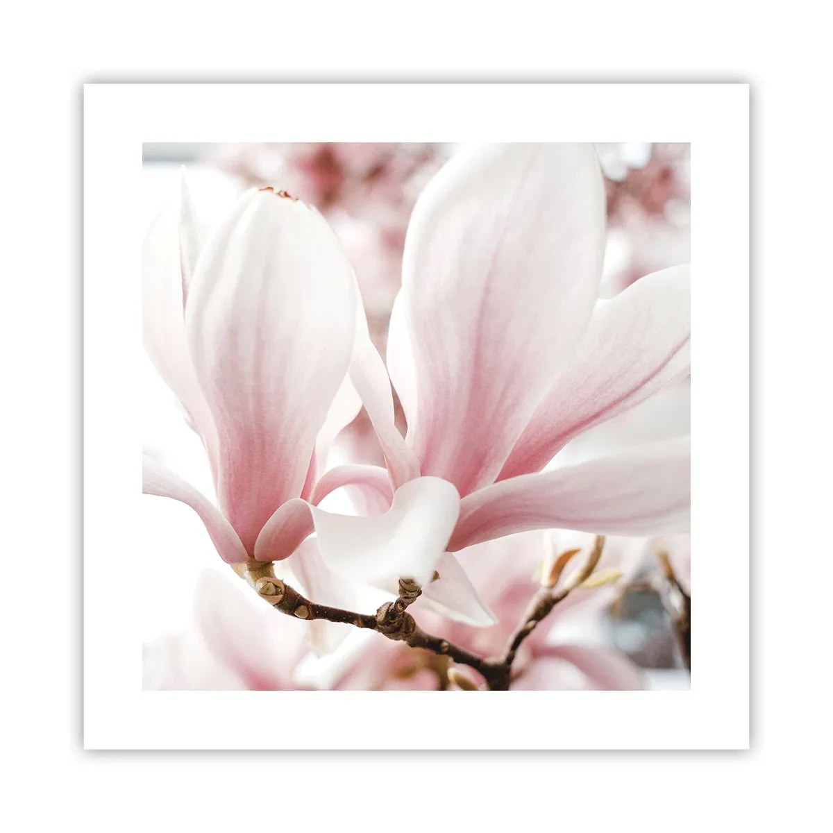 Póster - Inmensidad de la ternura - 40x40 cm