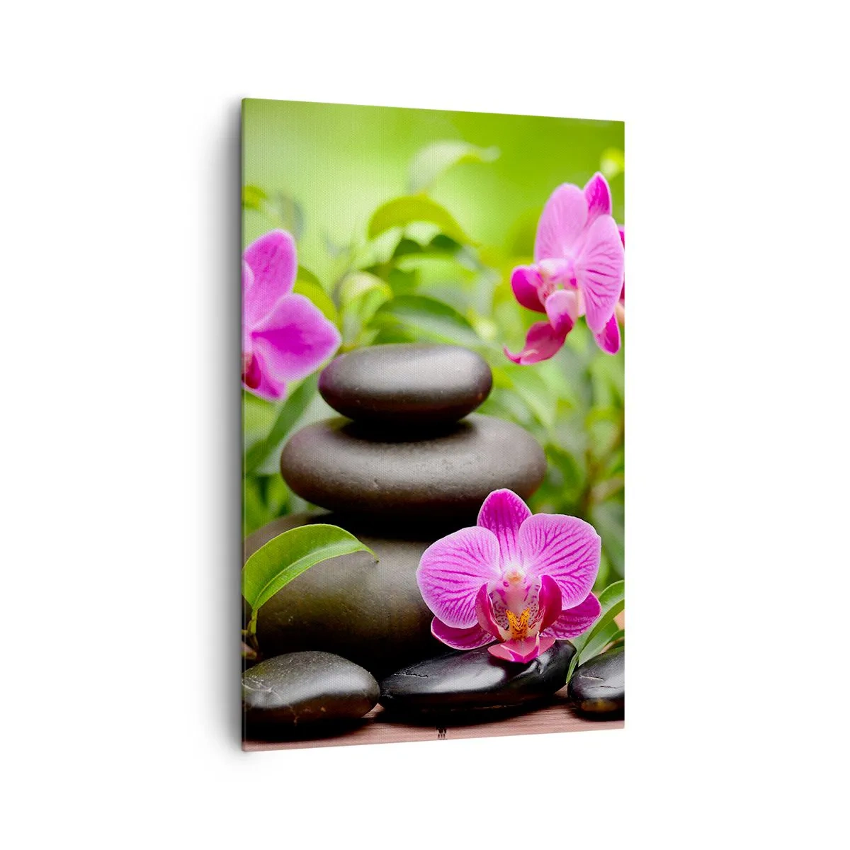 Cuadro sobre lienzo - Impresión de Imagen - Orquídeas rosas con piedras sobre un fondo verde. - 80x120cm - Una pirámide de paz - Decoración de pared moderna para salón y dormitorio ARTTOR