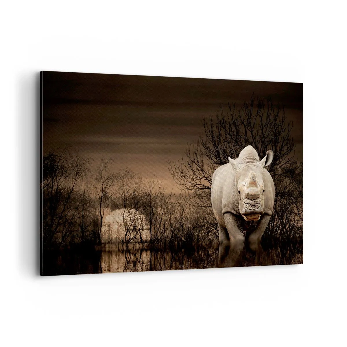Cuadro sobre lienzo - Impresión de Imagen - Rinoceronte entre árboles al atardecer, naturaleza salvaje. - 120x80cm - El blanco contra la naturaleza - Decoración de pared moderna para salón y dormitorio ARTTOR