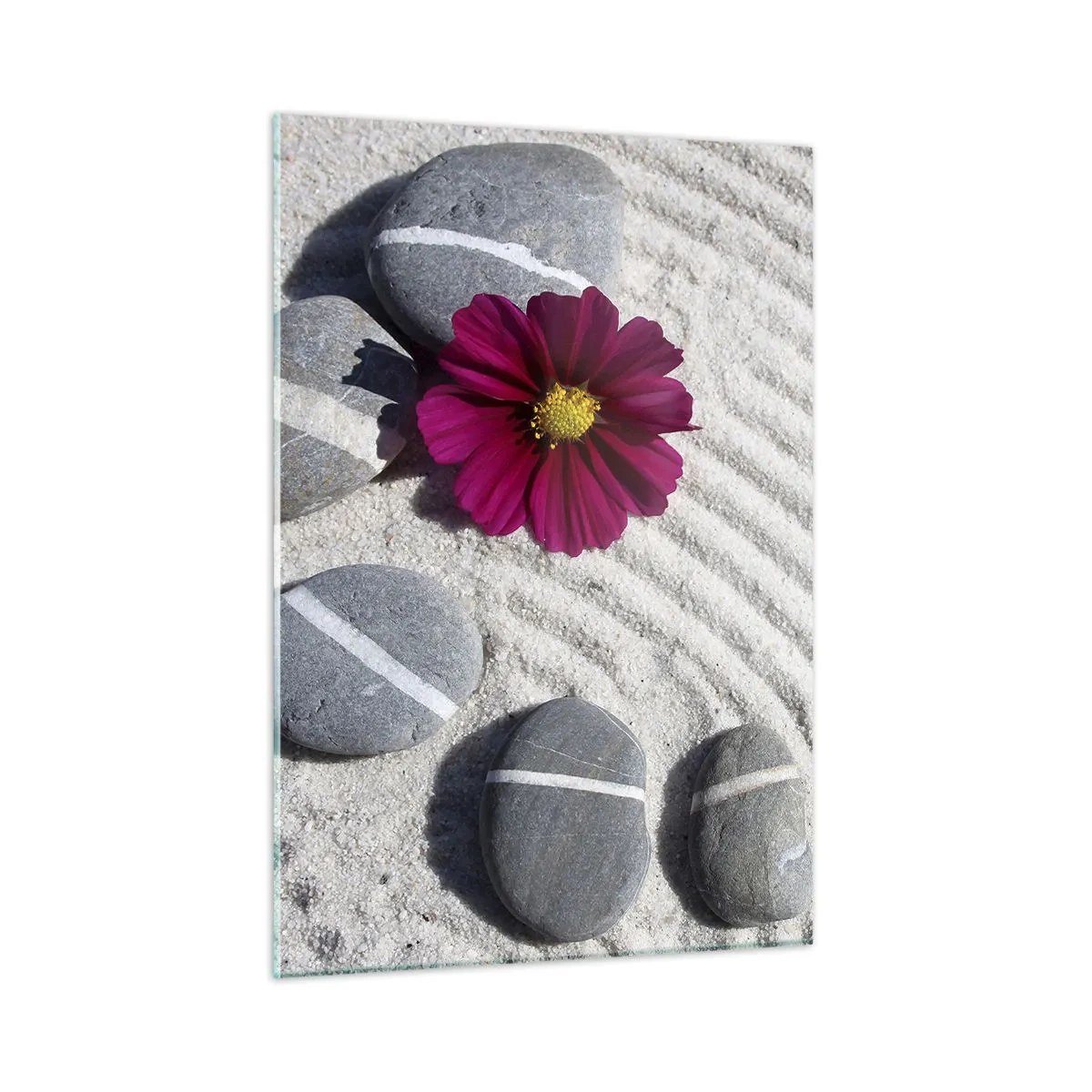 Cuadro sobre vidrio - Impresiones sobre Vidrio - Piedras con rayas blancas y una flor morada sobre la arena en estilo zen. - 50x70cm - Energía y paz del círculo mágico de la naturaleza - Decoración de pared moderna para salón y dormitorio ARTTOR