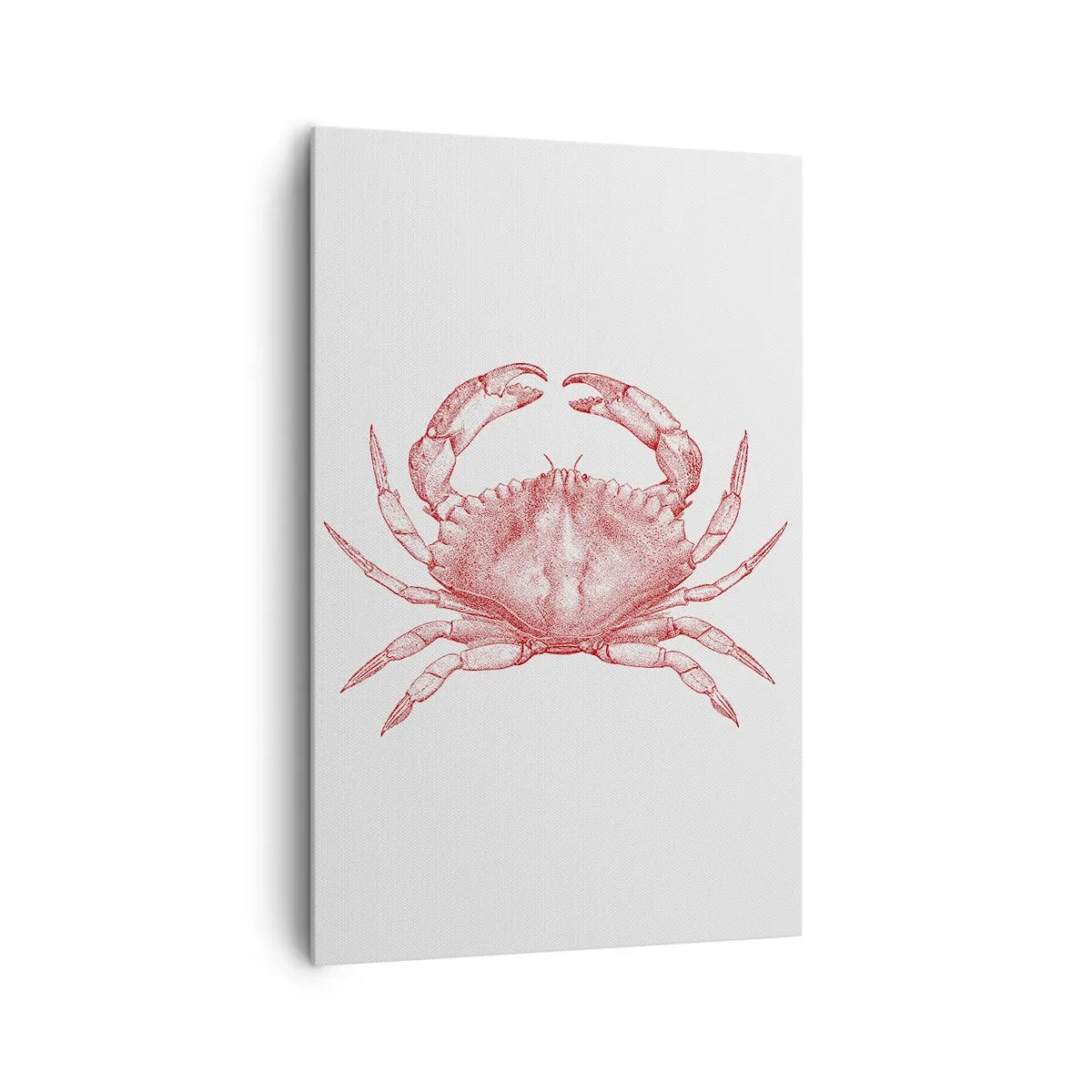 Cuadro sobre lienzo - Impresión de Imagen - Dibujo de un cangrejo en tono rojo. - 80x120cm - El explorador de las rocas - Decoración de pared moderna para salón y dormitorio ARTTOR