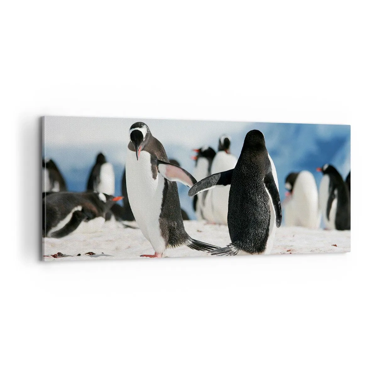 Cuadro sobre lienzo - Impresión de Imagen - Bailando en la nieve - 100x40 cm