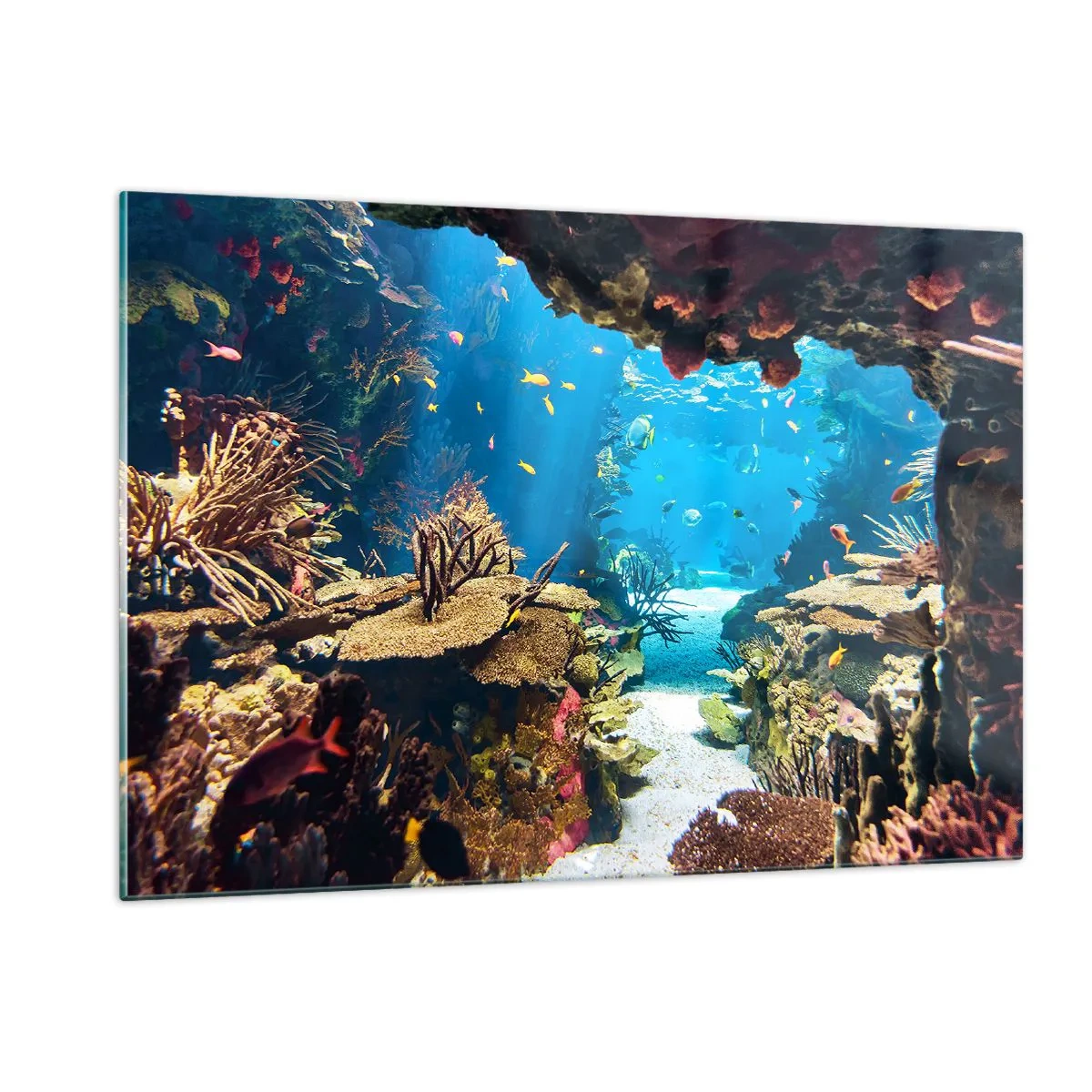 Cuadro sobre vidrio - Impresiones sobre Vidrio - Mundo submarino con arrecifes de coral y peces. - 120x80cm - Ni siquiera has soñado - Decoración de pared moderna para salón y dormitorio ARTTOR