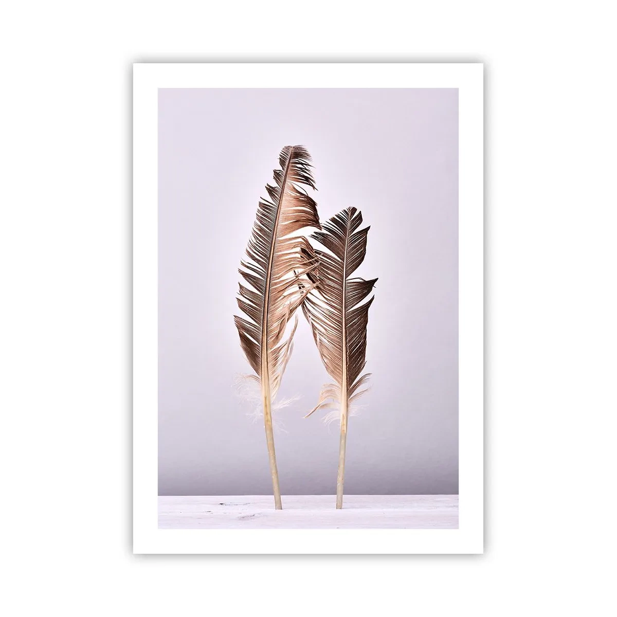 Póster - Dos plumas marrones sobre un fondo claro en estilo minimalista. - 50x70cm - Contra la nada - Decoración de pared moderna para salón y dormitorio ARTTOR