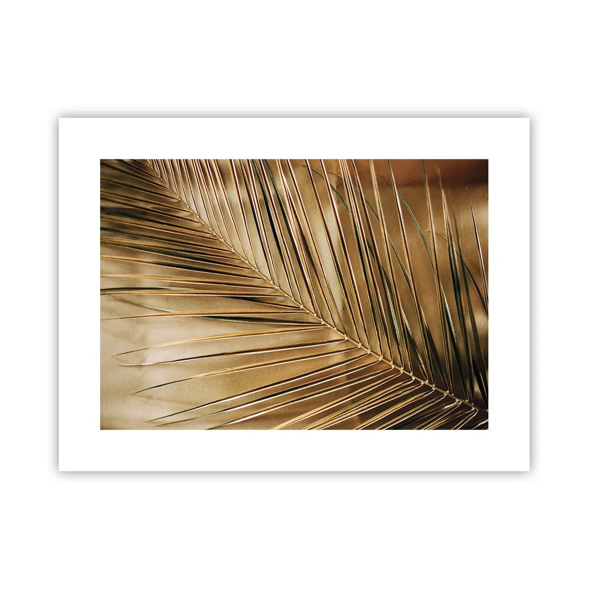Póster - Una columnata natural - 40x30 cm