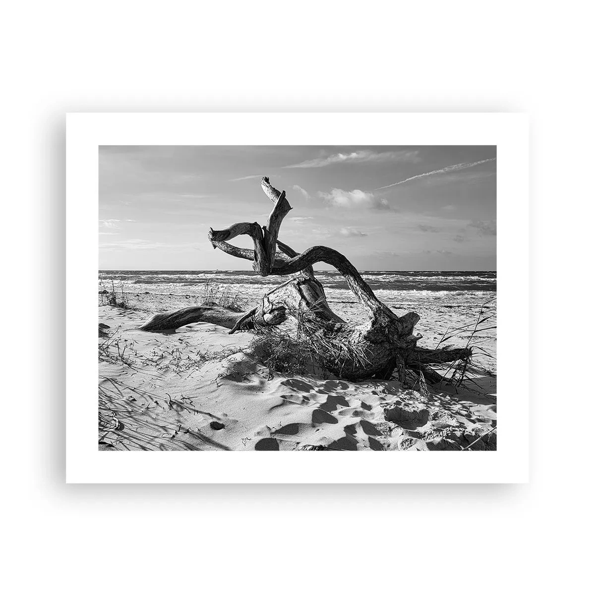 Póster - Escultura marina - 50x40 cm