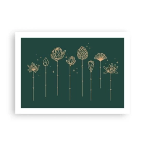 Póster - La familia vegetal - 70x50 cm