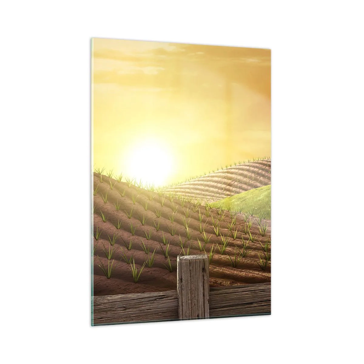 Cuadro sobre vidrio - Impresiones sobre Vidrio - Puesta de sol sobre una granja con un campo y un tractor - 50x70cm - Una granja como un cuento de hadas - Decoración de pared moderna para salón y dormitorio ARTTOR