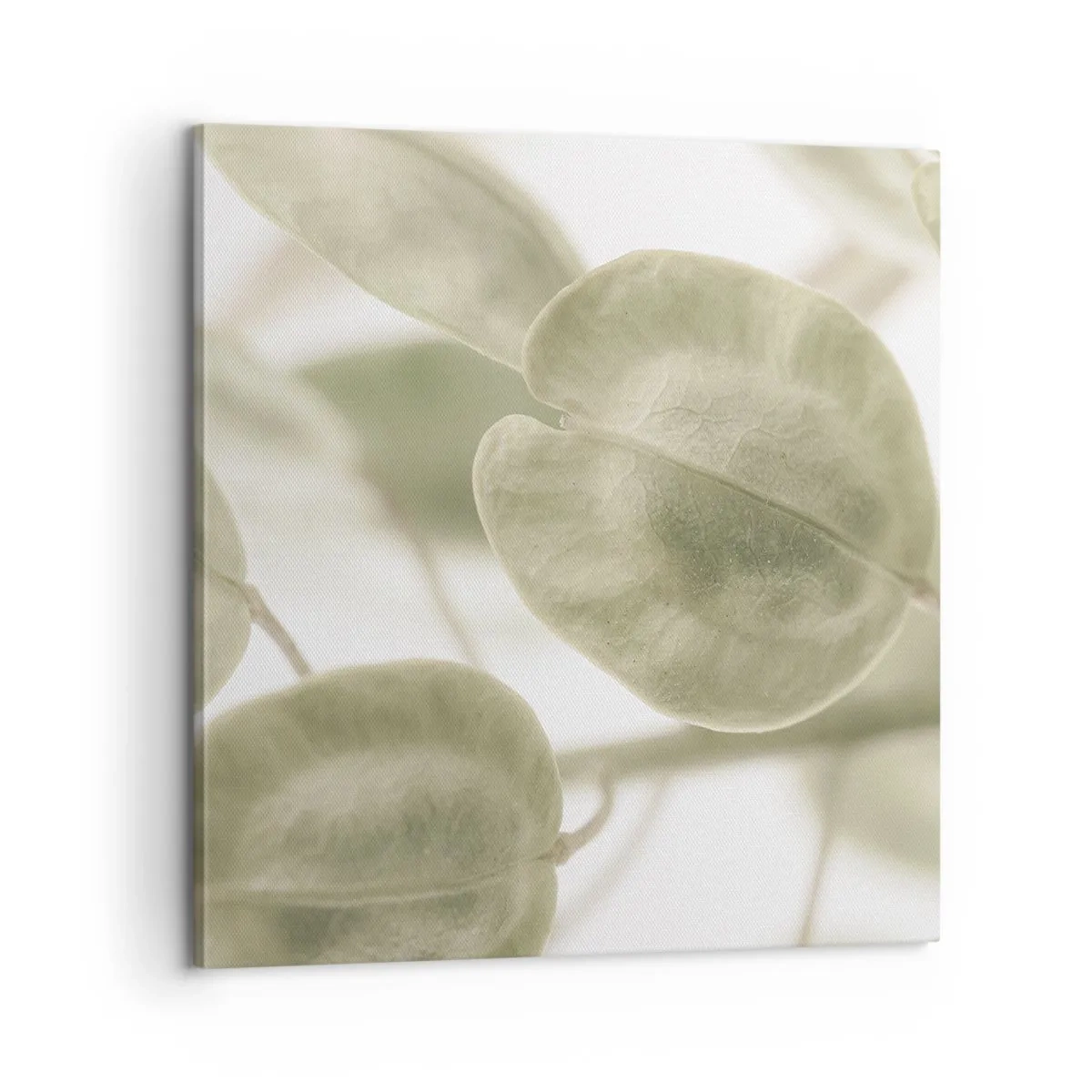 Cuadro sobre lienzo - Impresión de Imagen - Al principio de los tiempos había hojas... - 60x60 cm