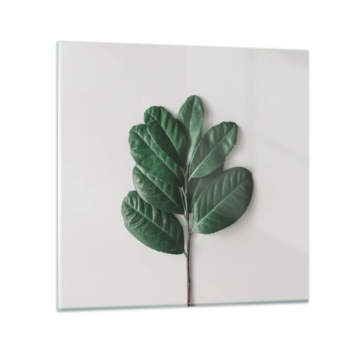 Cuadro sobre vidrio - Impresiones sobre Vidrio - El dibujo de la propia naturaleza - 30x30 cm