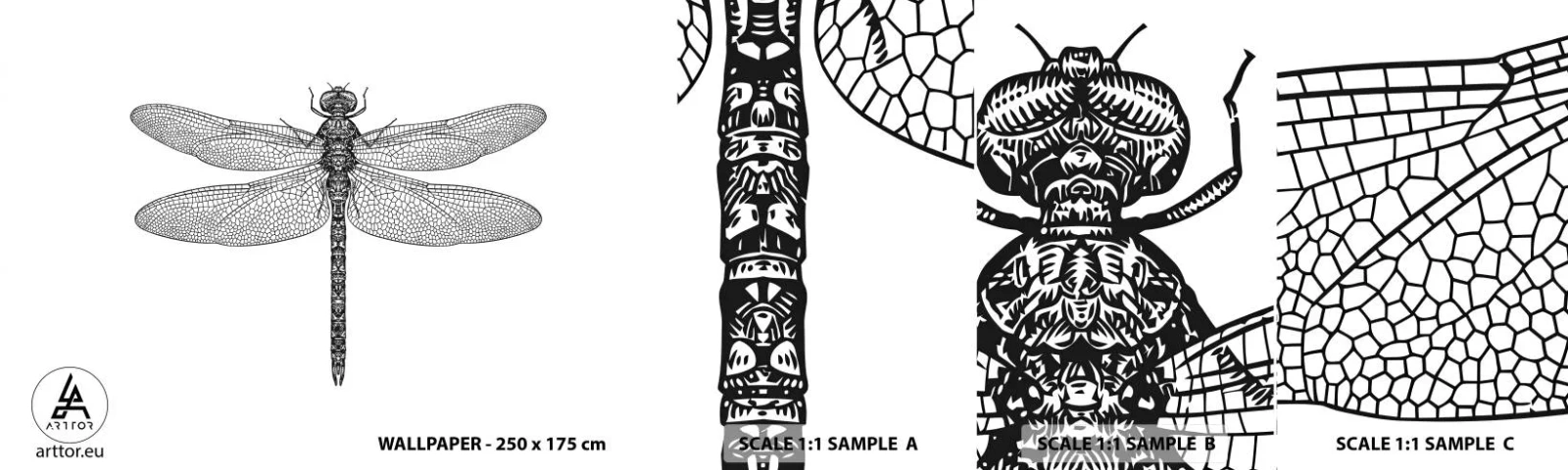 Muestra de fotomural autoadhesivo Deluxe Sticker - Precisión de la naturaleza - Libélula, Insecto, minimalista - 100x30 cm