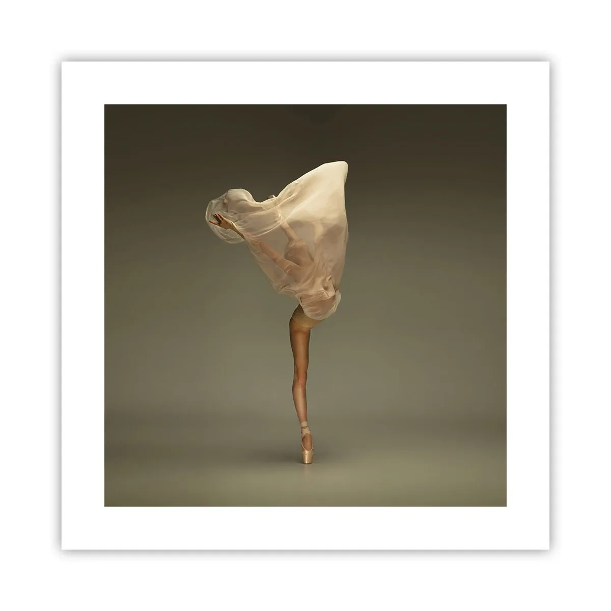 Póster - A punto de volar - 40x40 cm