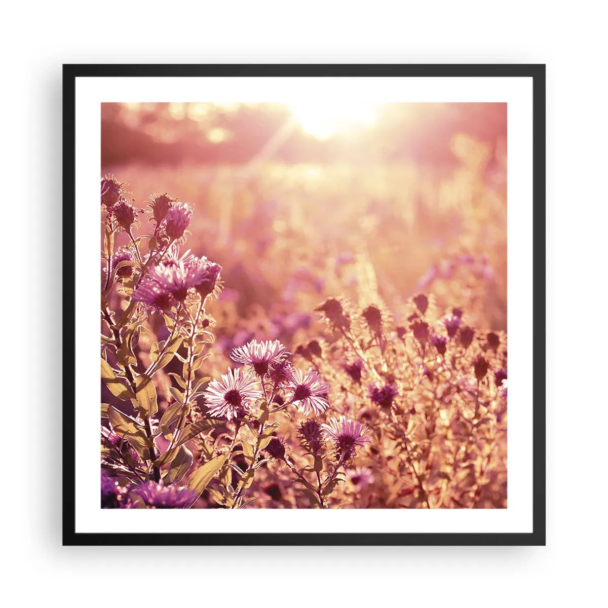 Póster en marco negro - Antes de que se acabe el verano - 60x60 cm