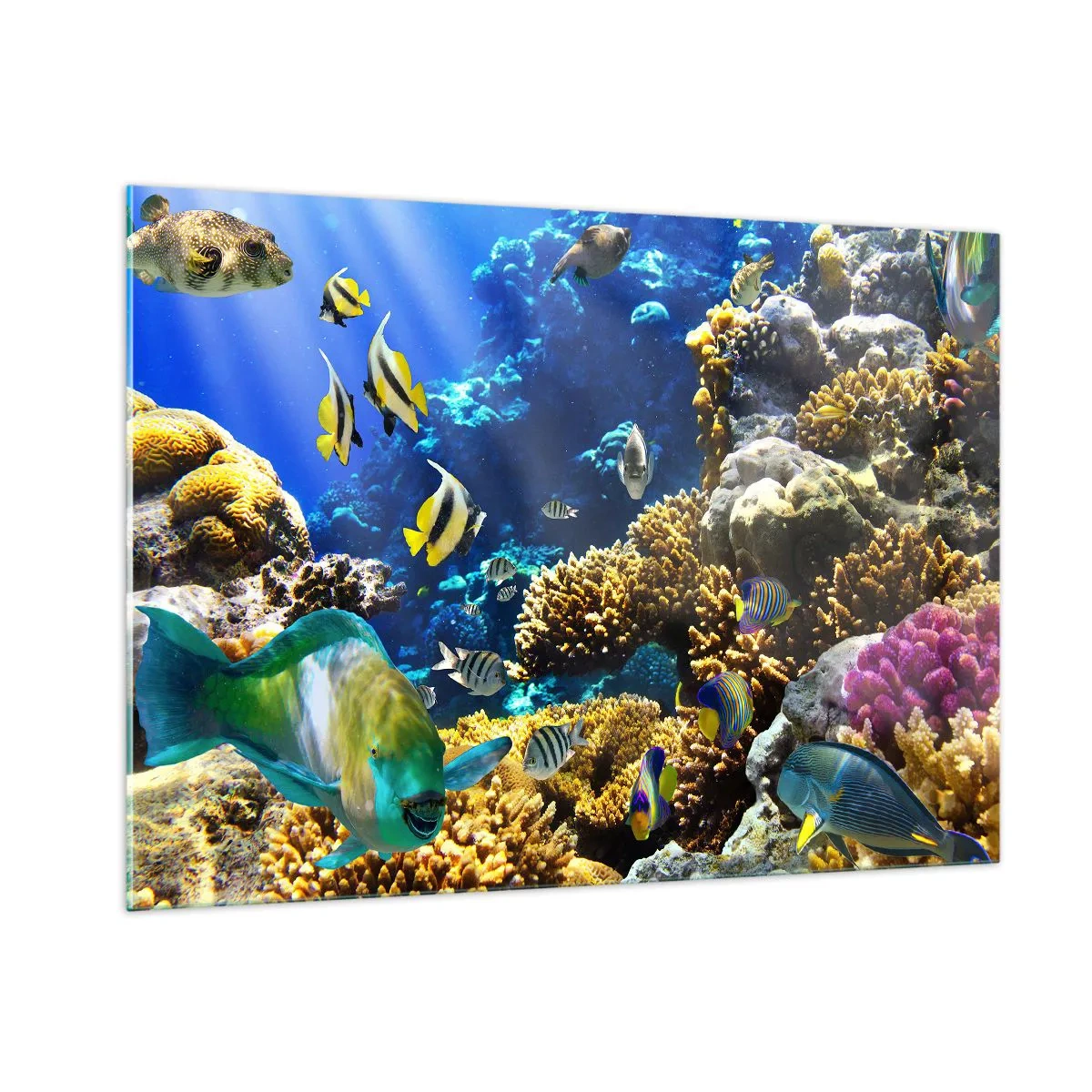 Cuadro sobre vidrio - Impresiones sobre Vidrio - Arrecife de coral con peces de colores y luz submarina. - 100x70cm - Vacaciones submarinas - Decoración de pared moderna para salón y dormitorio ARTTOR