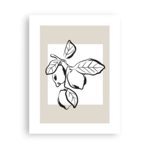 Póster - Donde el limón madura... - 30x40 cm