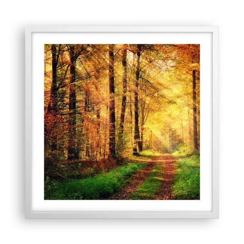 Póster en marco blanco - Silencio dorado del bosque - 50x50 cm
