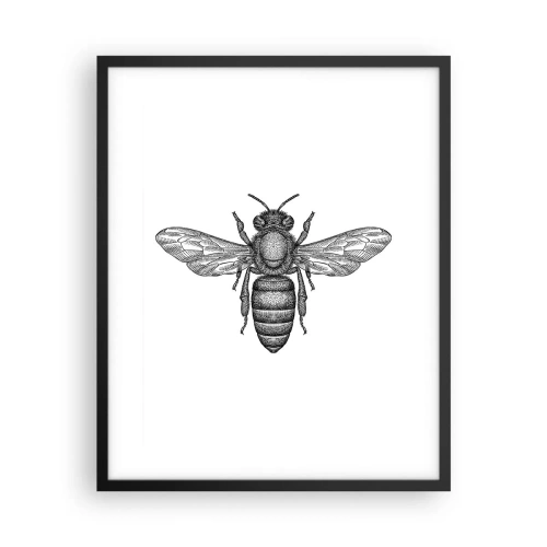 Póster en marco negro - Retrato de insecto - 40x50 cm