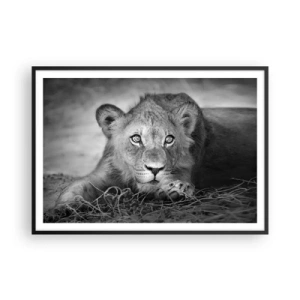 Póster en marco negro - Retrato monocromático de un león joven acostado - 100x70cm - Un cachorro real - Decoración de pared moderna para salón y dormitorio ARTTOR