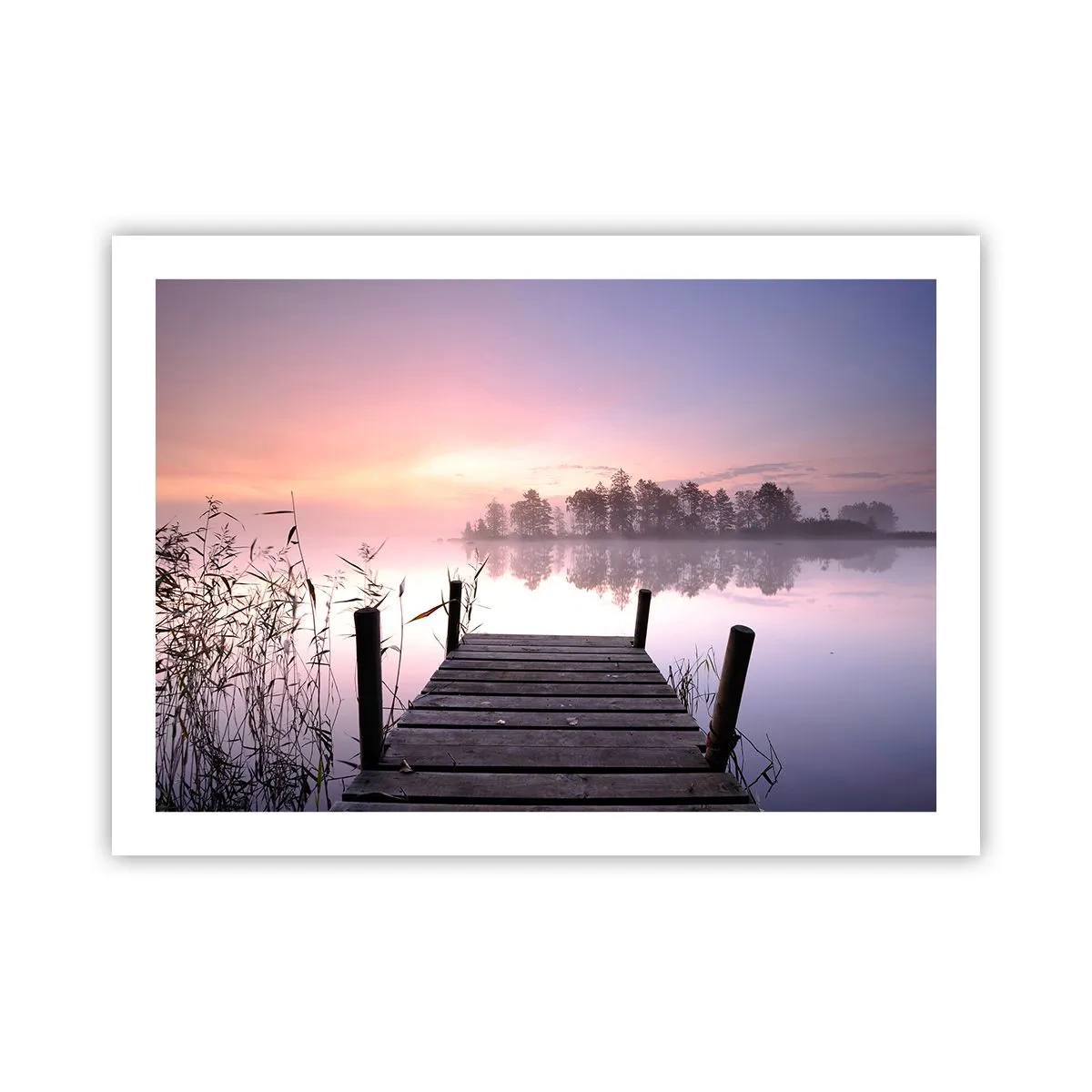 Póster - De la niebla lila... - 70x50 cm