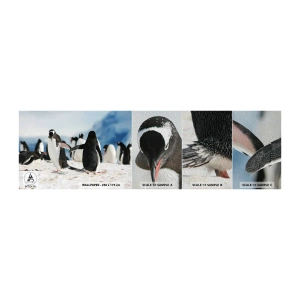 Muestra de fotomural Premium Sand - Bailando en la nieve - Pingüino, Antártida, Paisaje - 100x30 cm