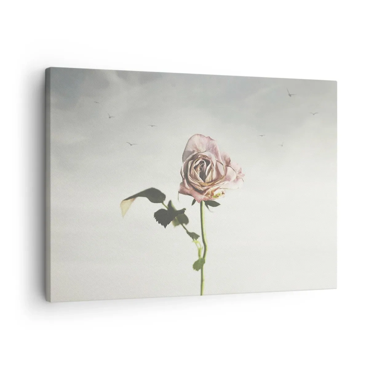 Cuadro sobre lienzo - Impresión de Imagen - Una delicada rosa contra un cielo brillante con pájaros volando. - 70x50cm - Bienvenida a la primavera - Decoración de pared moderna para salón y dormitorio ARTTOR