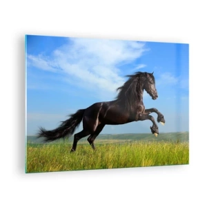 Cuadro sobre vidrio - Impresiones sobre Vidrio - Un caballo negro galopando contra un cielo azul y un prado verde. - 70x50cm - Emocionante manifiesto de libertad - Decoración de pared moderna para salón y dormitorio ARTTOR