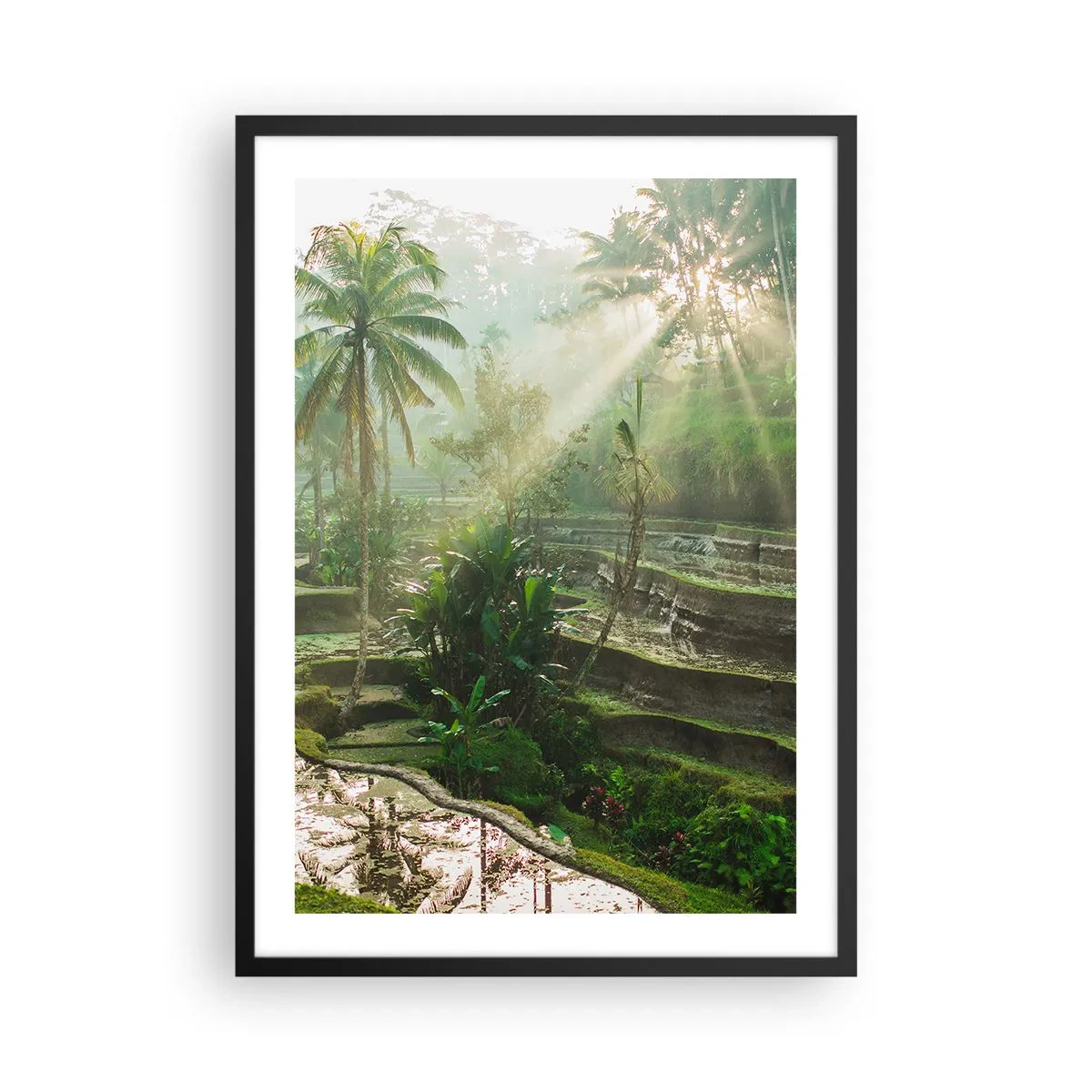 Póster en marco negro - Paisaje tropical con terrazas de arroz y sol. - 50x70cm - Crecer bajo el sol - Decoración de pared moderna para salón y dormitorio ARTTOR