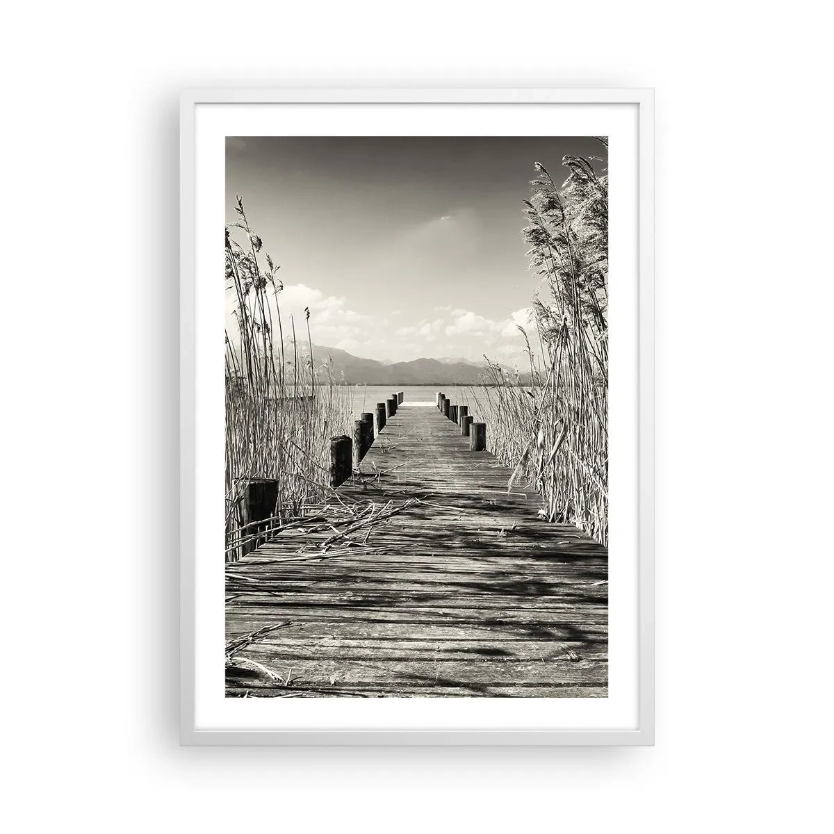 Póster en marco blanco - En la quietud de los juncos - 50x70 cm
