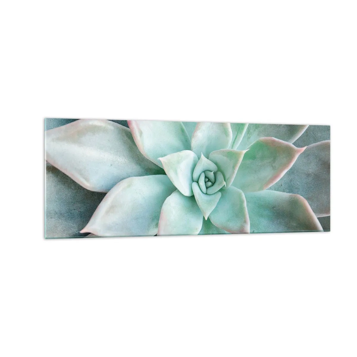 Cuadro sobre vidrio - Impresiones sobre Vidrio - Primer plano de una suculenta verde - 140x50cm - El corazón del desierto - Decoración de pared moderna para salón y dormitorio ARTTOR