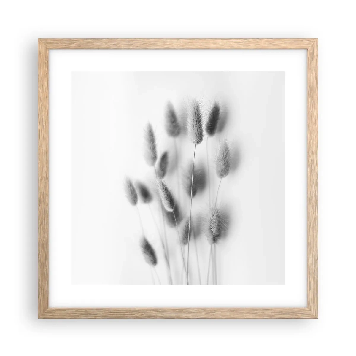 Póster en marco roble claro - Esponjas naturales - 40x40 cm