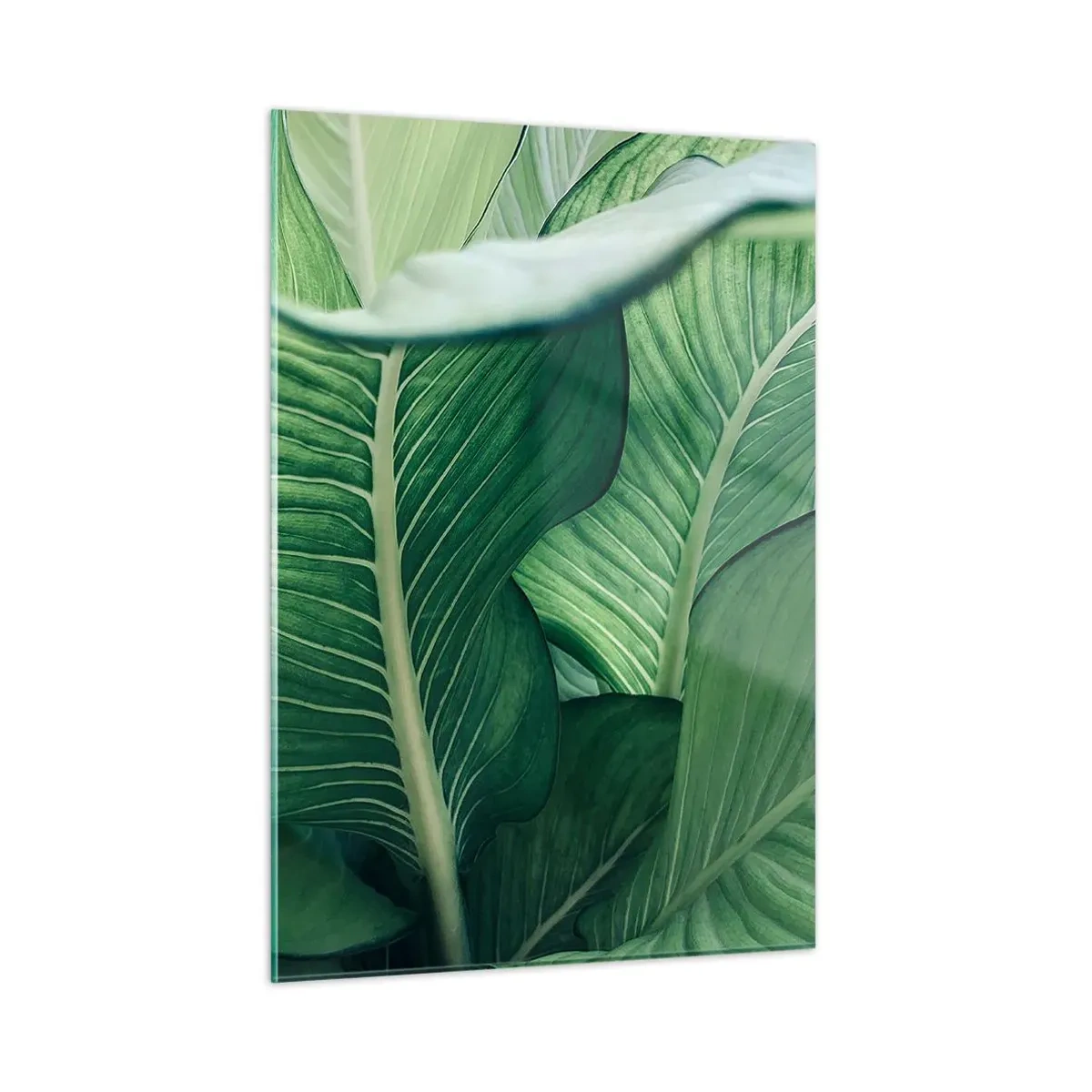 Cuadro sobre vidrio - Impresiones sobre Vidrio - Hojas verdes exuberantes en primer plano y con luz natural. - 50x70cm - Vida intensamente verde - Decoración de pared moderna para salón y dormitorio ARTTOR