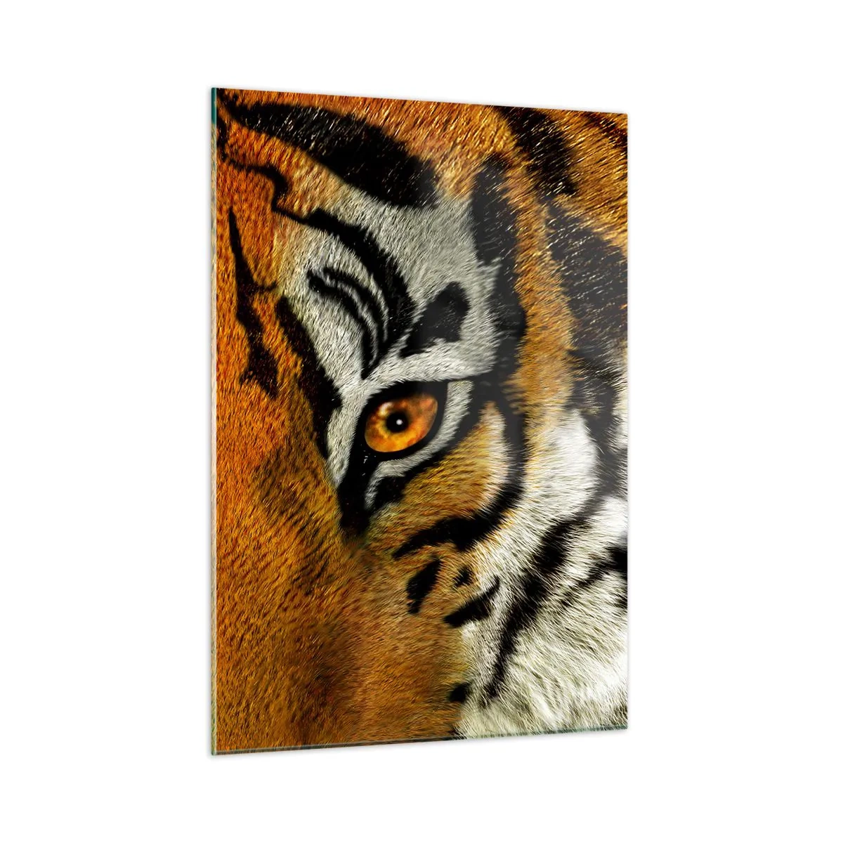 Cuadro sobre vidrio - Impresiones sobre Vidrio - Primer plano de la intensa mirada del tigre. - 50x70cm - Amenazante y hermoso - Decoración de pared moderna para salón y dormitorio ARTTOR