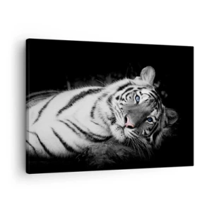 Cuadro sobre lienzo - Impresión de Imagen - Un tigre blanco representado artísticamente sobre un fondo negro. - 70x50cm - Salvaje y tranquilo - Decoración de pared moderna para salón y dormitorio ARTTOR