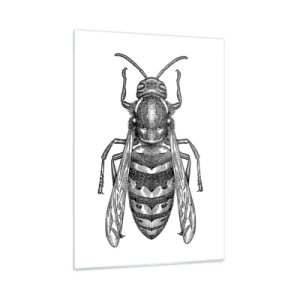Cuadro sobre vidrio - Impresiones sobre Vidrio - Ilustración retro en blanco y negro de una avispa sobre un fondo blanco. - 50x70cm - Desde un planeta de insectos - Decoración de pared moderna para salón y dormitorio ARTTOR