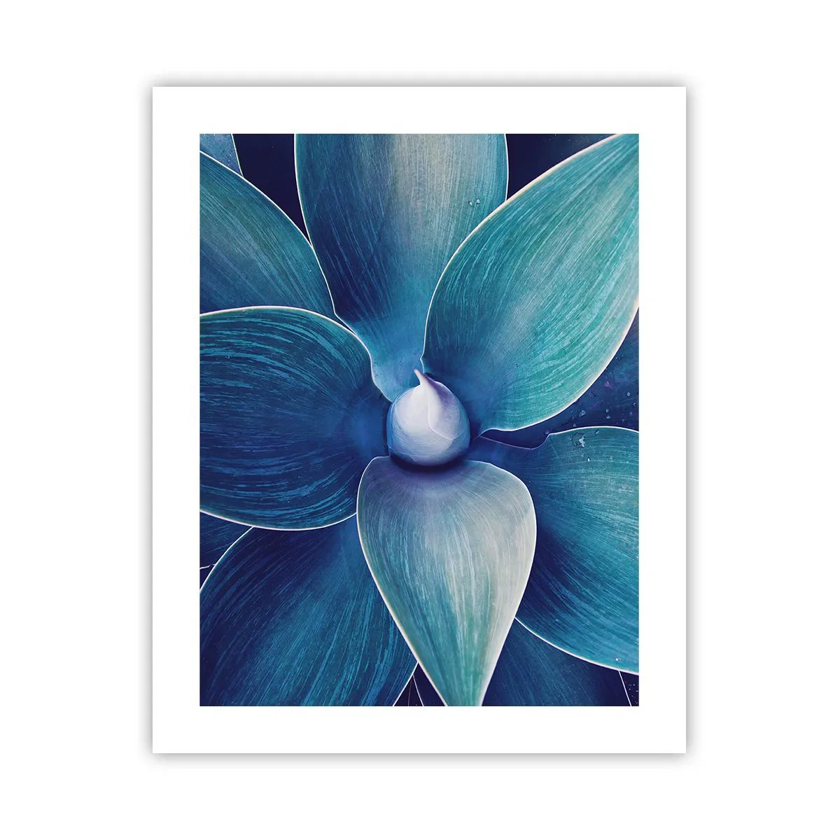 Póster - Azul del cielo - 40x50 cm