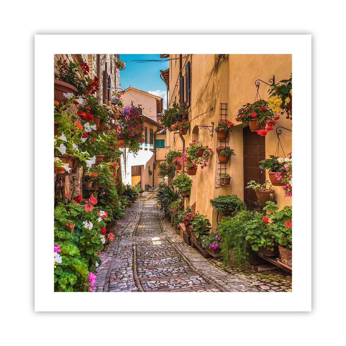 Póster - Callejón italiano - 50x50 cm