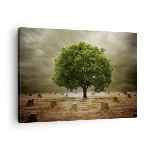 Cuadro sobre lienzo - Impresión de Imagen - Un árbol verde rodeado de troncos talados contra un cielo nublado. - 70x50cm - La esperanza - Decoración de pared moderna para salón y dormitorio ARTTOR