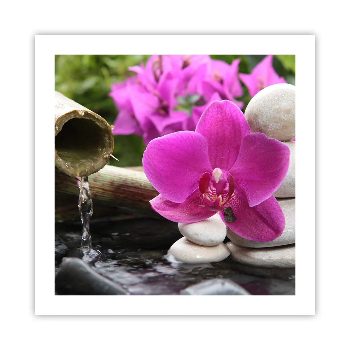 Póster - Ya estás descansando - 50x50 cm