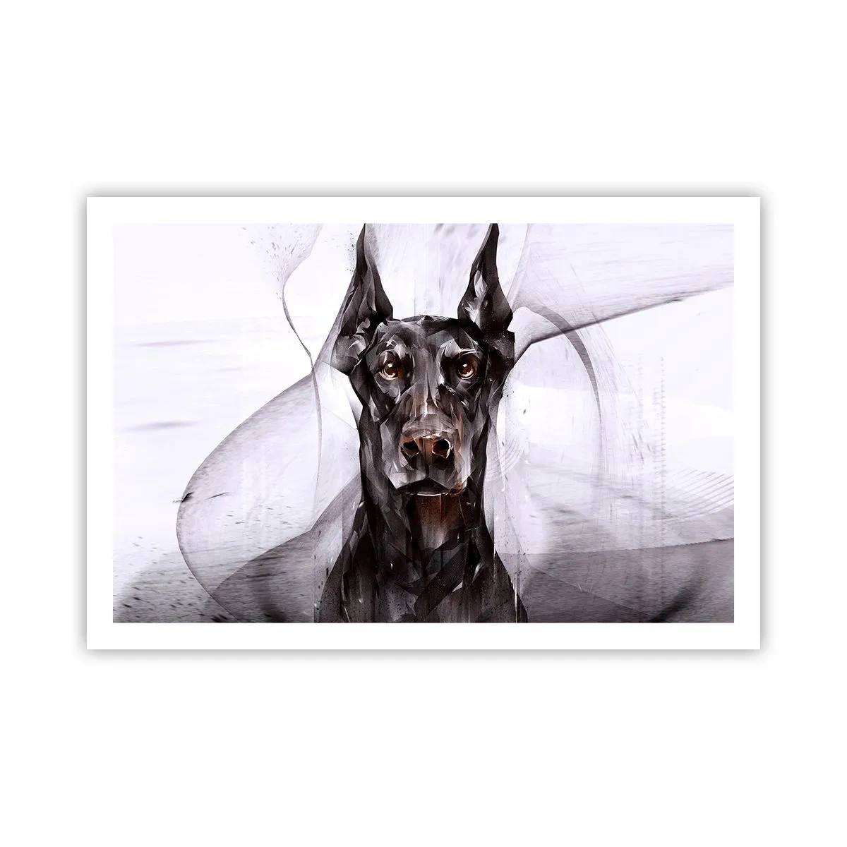 Póster - Nacido noble - 91x61 cm