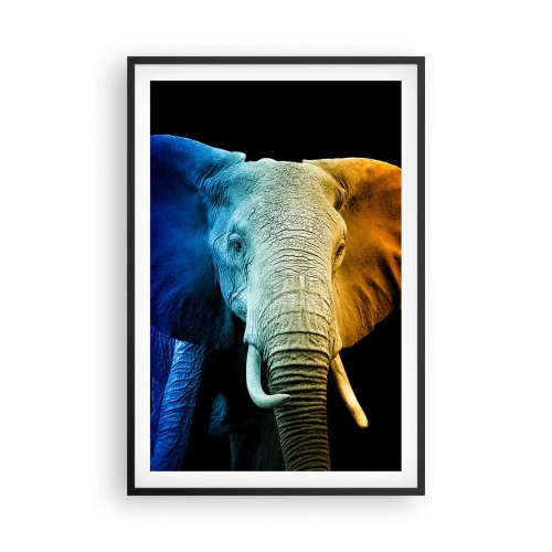 Póster en marco negro - Excéntrico, no un bicho raro - 61x91 cm
