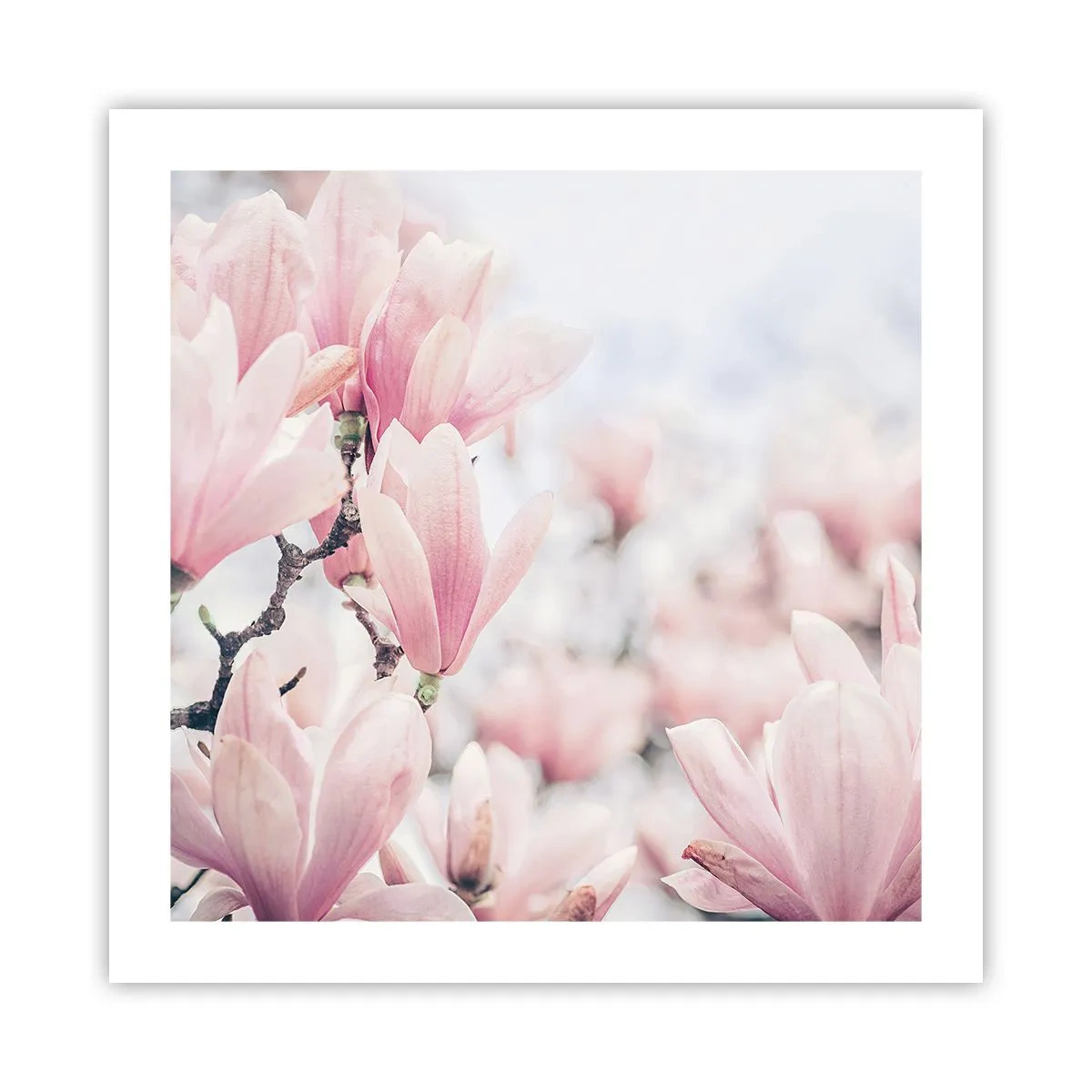 Póster - La perfección de la sutileza - 50x50 cm