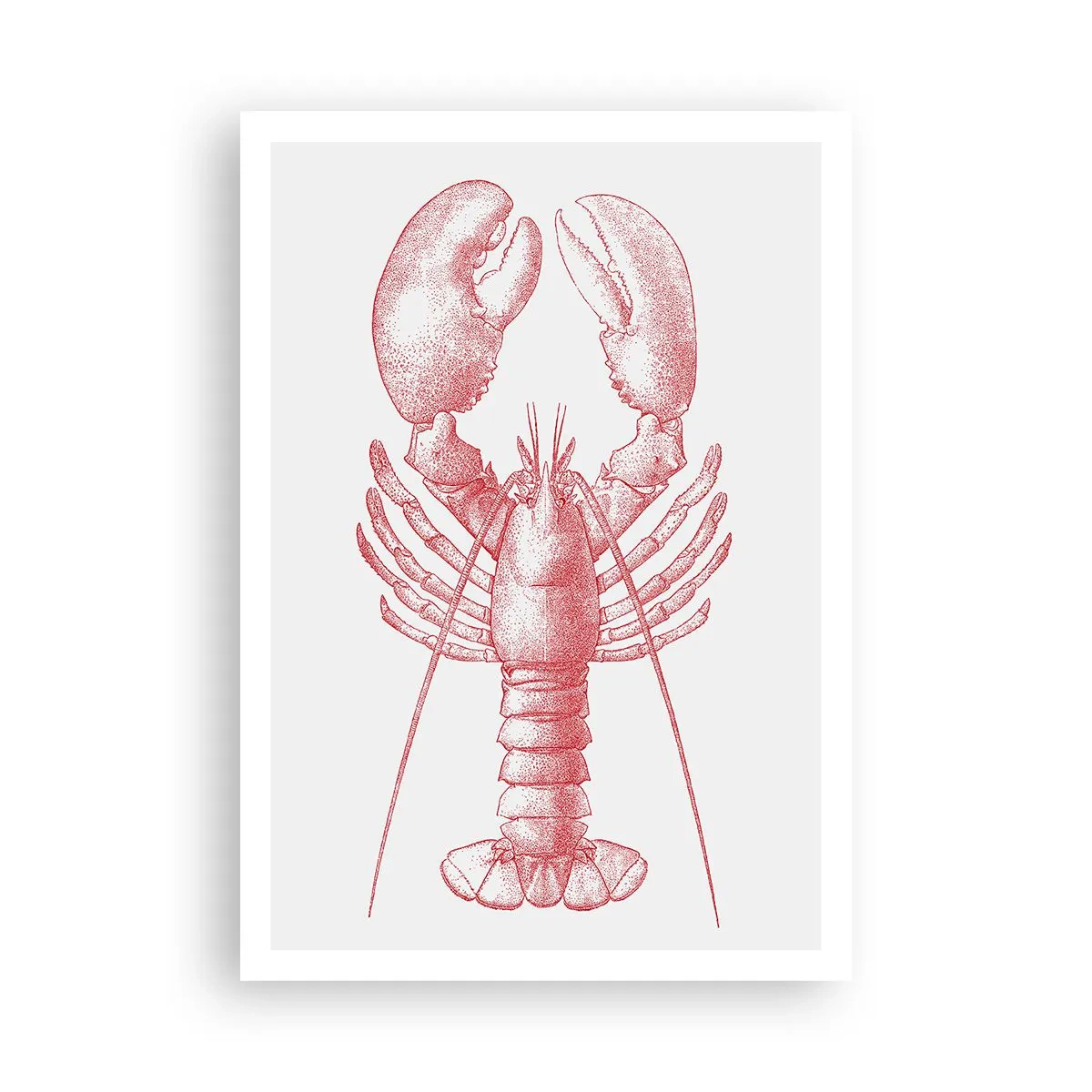 Póster - La reina de los fondos rocosos - 70x100 cm